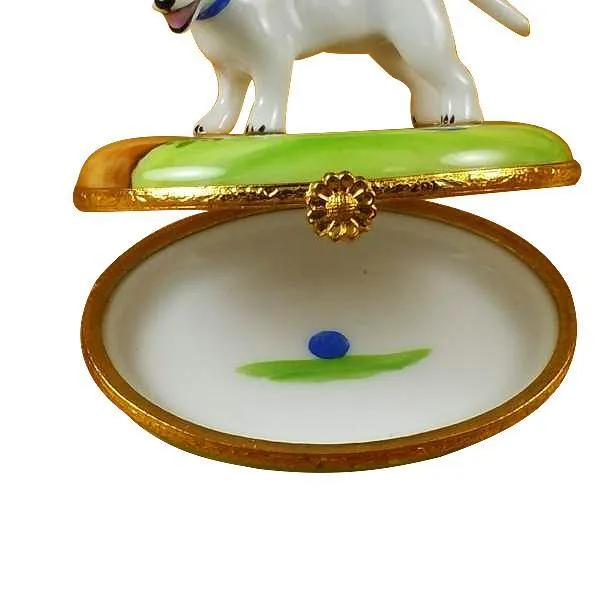 Bull Terrier Limoges Box by Rochard™