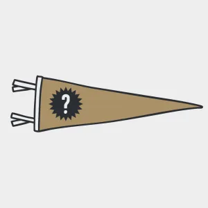 Mystery Box: Felt Pennant