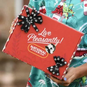 Natty Boh / Gift Box